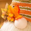 Evergreen Plush Harvest Gnome with Basket Table Decor - 3 of 4