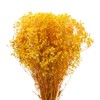 Unique Bargains Natural Dried Baby's Breath Flowers Branches for Wedding Party Decoration Yellow 2 Pcs - 3 of 4