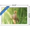 Trends International Fruits Basket - Kyo Soma Framed Wall Poster Prints - 3 of 4