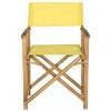 Laguna Director Chair Indoor/Outdoor (Set Of 2) - Safavieh - 3 of 4