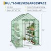 Greenhouses for Outdoors with Shelves, Portable Greenhouse, Walk-in Green Houses for Seedling Flowers Growing - 3 of 4