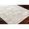Hauteloom Iduia Beige Plush Area Rug - 3 of 4