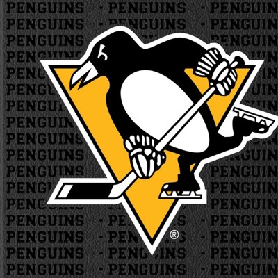 pittsburgh penguins