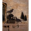 Bethany Lowe 12.75 In Glittered Crow On Skull Set Bird Figurines - image 2 of 3