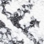 ivory/grey