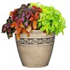Set of 2 Corinthian Planters - Classic Home and Garden - 2 of 4