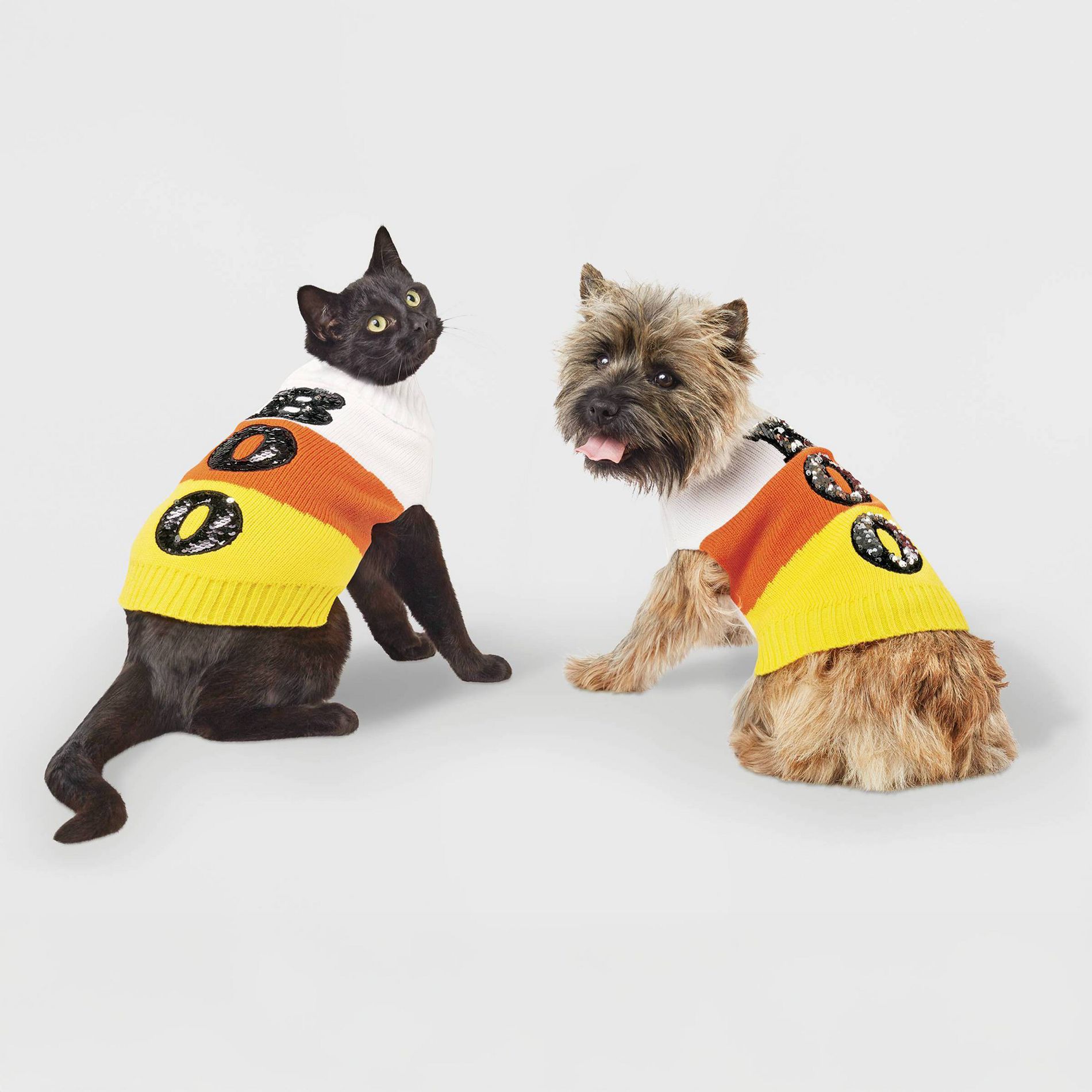 Candy Corn Boo Halloween Dog and Cat Sweater - Boots & Barkley™