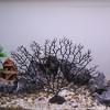 Unique Bargains Aquarium Mini Faux Coral Reef Decor - 2 of 4