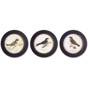 Melrose Framed Encyclopedia Bird Print (Set of 3) - 1 of 3