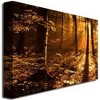 30" x 47" Morning Light by Philippe Sainte Laudy - Trademark Fine Art: Unframed Canvas for Living Room - 3 of 4