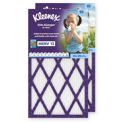 Elite Allergen Air Filter - 13 MERV RATING
