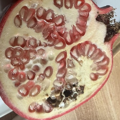 Guest review image 1 of 1, zoom in