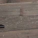 Pebble Pine