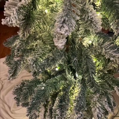 Guest review image 1 of 2, zoom in