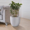 Rosemead Home & Garden, Inc. Kante  Fiberglass and Concrete Indoor Planter Pots White 16.54" x 16.54" x 15.35" - 4 of 4