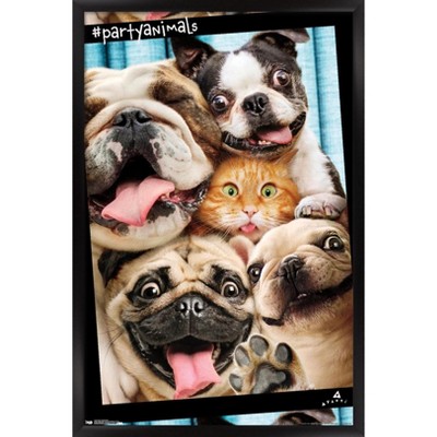 Trends International Avanti - Photo Booth Framed Wall Poster Prints ...