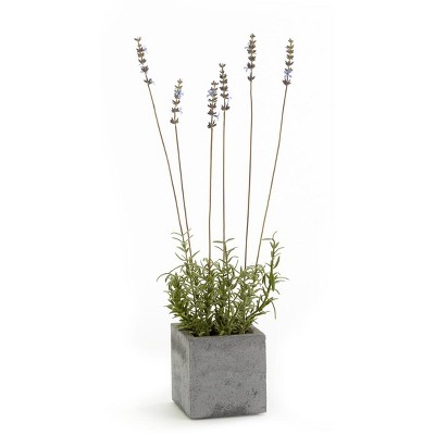 Plum & Post 19" Artificial Floral Flower French Lavender & 4" Decorative Square Planter Pot
