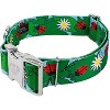 Country Brook Petz 1 1/2 Inch Premium Dog Collar - Summer Breeze Collection - 2 of 4
