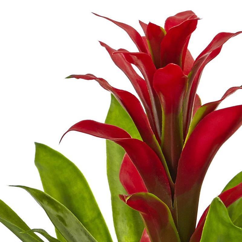 Bromeliad with Glass Vase Arrangement - Nearly Natural, 4 of 5