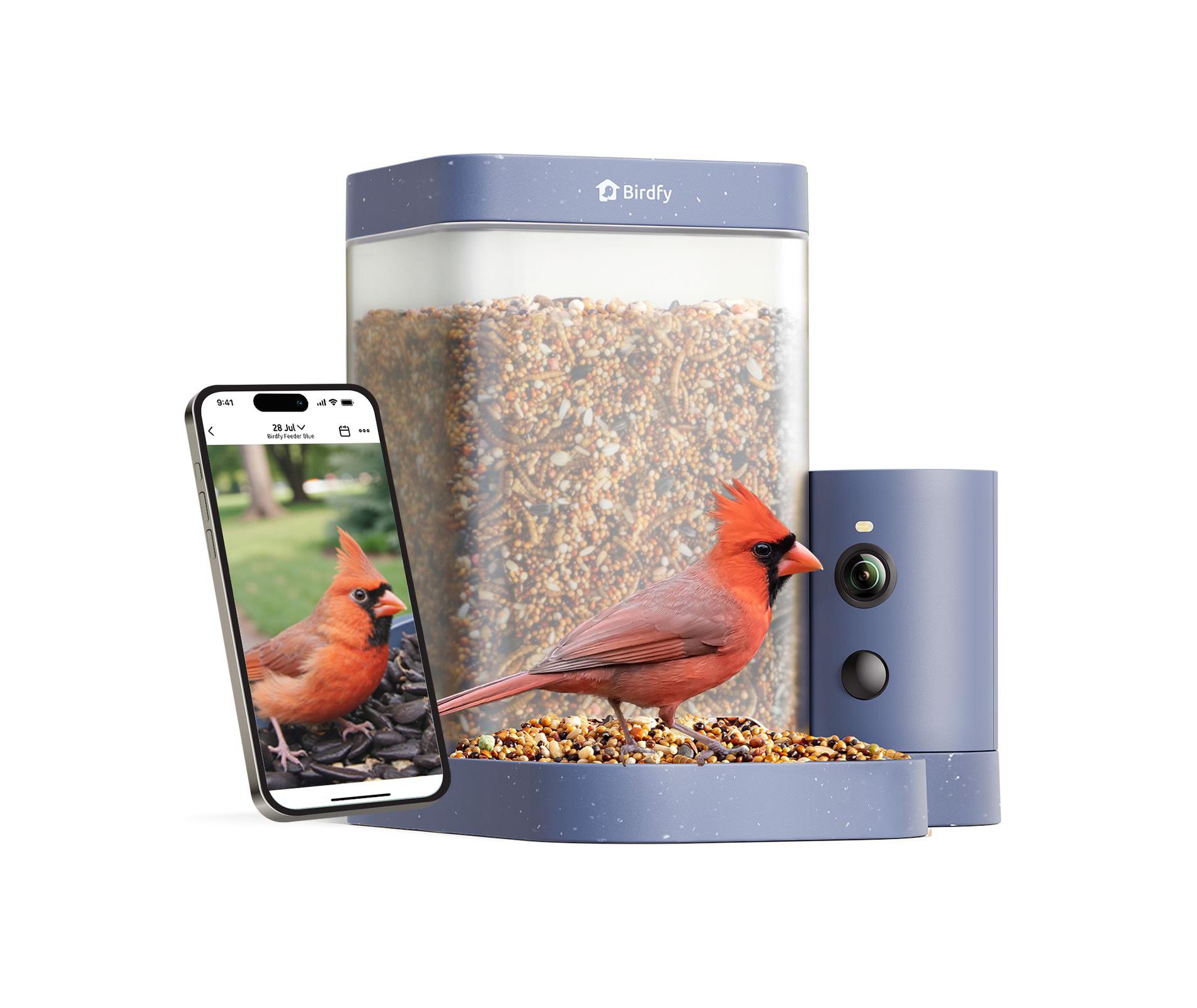 Birdfy Smart Bird Feeder Rookie - 1080P HD, 60FPS High-Frame Video for Slow-Motion Clips, AI Bird Recognition, Night Vision, Free Cloud Storage