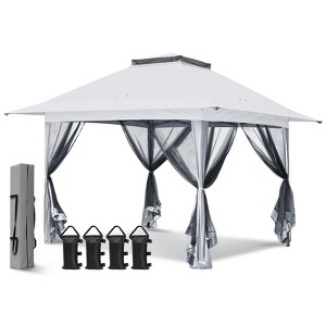 EAGLE PEAK Pop Up Gazebo with Mesh Netting - 1 of 4