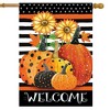 Briarwood Lane Fall House Flag 40x28 For Outdoor Pumpkins and Stripes For Fall House Flag - 2 of 4
