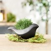 Set of 2 Black Ceramic Bird Containers - 3 of 3