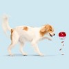 BARK Super Chewer Vino Vidi Vici Dog Treat Dispenser Toy - 4 of 4