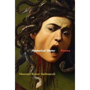 Hysterical Water - (Georgia Review Books) by  Hannah Baker Saltmarsh (Paperback) - 1 of 1