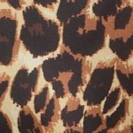 cognac painterly cheetah