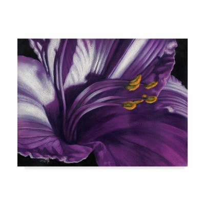 Barbara Keith Purple Flower Canvas Art 14'' x 19''
