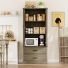 65" Tall Kitchen Pantry Cabinet, Kitchen Cabinet with 2 Drawers & Barn Doors - 3 of 4