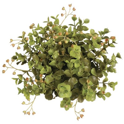 Sullivans Eucalyptus 1/2 Orb Decorative Filler 6"H Green