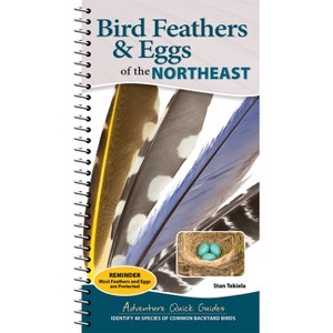 Bird Feathers & Eggs of the Northeast - (Adventure Quick Guides) by  Stan Tekiela (Spiral Bound) - 1 of 1