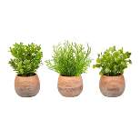 Artificial 8" Tall Greenery Arrangement House Plants in Pots- Round Set of 3, Decorative Faux Indoor Ornamental Potted Foliage by Nature Spring