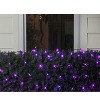 Northlight 4' x 6' Purple LED Wide Angle Net Style Christmas Lights - Green Wire - 2 of 3
