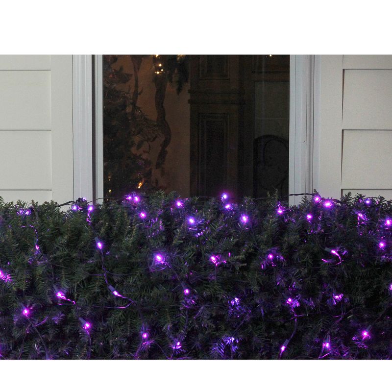 Northlight 4' x 6' Purple LED Wide Angle Net Style Christmas Lights - Green Wire, 2 of 4