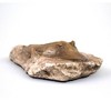 Master Replicas Smithsonian Trilobite in Sandstone Full-Scale Resin Fossil Replica - 3 of 3