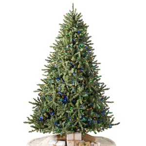 Balsam Hill 9' Color Clear LED Classic Blue Spruce Tree - 1 of 4
