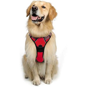 rabbitgoo Dog Harness with 2 Leash Clips, Adjustable Soft Padded Vest, Reflective No-Choke Pet Oxford Vest with Easy Control Handle for Large - 1 of 1