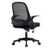 Ergonomic Office Chair with Lumbar Support 5 Wheels Nylon Mesh Computer Chair for Women Men Grown-ups Working Studying Black One Size - 4 of 4