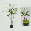 Acekool 150 cm Artificial Mourning Tree with Blooming Flowers and Lush Leaves, Decorative Faux Plant in Pot for Home, Office, Garden - 2 of 4