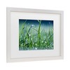 Trademark Fine Art - Beata Czyzowska Young Morning Dew Matted Framed Art - 3 of 4