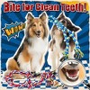 Itopfox Heavy Duty Dog Toy for Aggressive Chewers – Tough Chew Toys for Large Dogs, Ideal for Tug-of-War & Teeth Cleaning, with 3 Rope Toys - 2 of 4