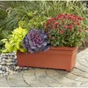 Novelty Countryside Flower Box Planter - 2 of 4
