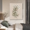 Courtside Market Sage & white floral I Gallery-Wrapped Canvas - 2 of 4