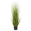 Green/Burgundy Flax Grass Potted - 4 of 4
