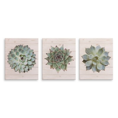 8"x10" 3pc Succulents on Wood Canvas Art Green - Patton Wall Decor