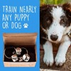 Impresa Dog Bells for Door Potty Training - Doggie Doorbell for Housetraining Your Doggy or Housebreaking Your Puppy - 2 of 4