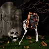 Amborella Organics 8pk Spooky Season Seed-Bearing Lollipops Flower Seeds - 4 of 4